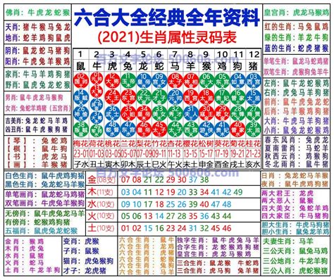 六合彩 生肖|2024年【六合彩生肖号码】属性知识对照表